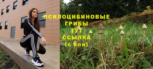 синтетический гашиш Балахна