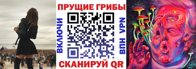 Псилоцибиновые грибы ЛСД  ОМГ ОМГ маркетплейс  Коммунар 